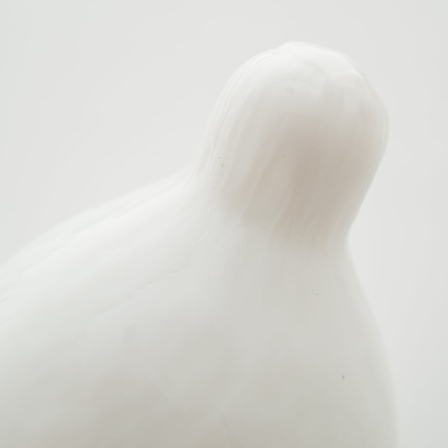 66792010c650080354e8e8a4