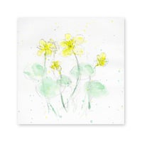 lumikka｜Correspondence-Botanica｜32