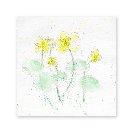 lumikka｜Correspondence-Botanica｜32