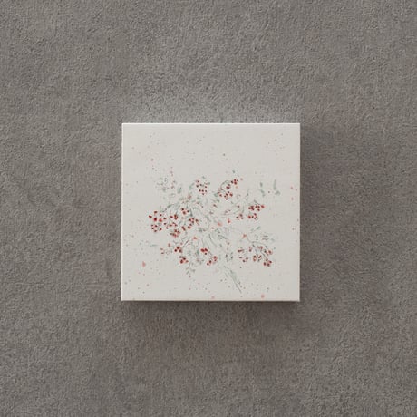 lumikka｜Correspondence-Botanica｜44