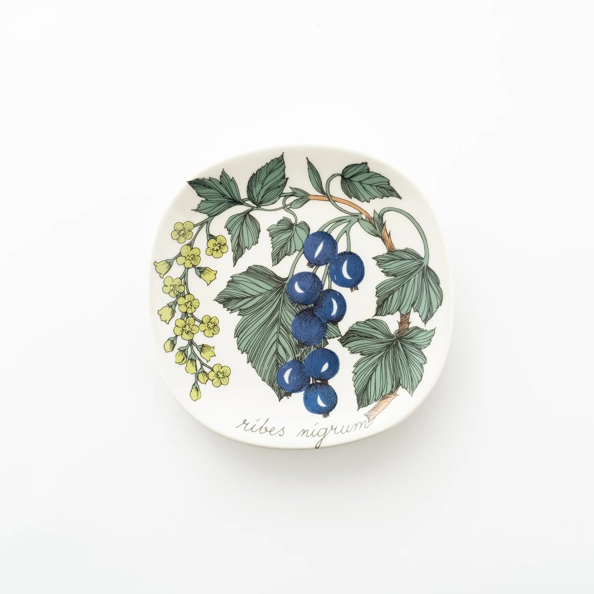 ARABIA エステリ・トムラ ボタニカ 