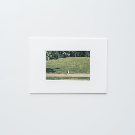 Finlandscape｜080