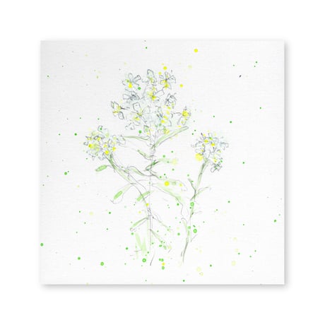 lumikka｜Correspondence-Botanica｜07