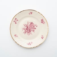 Arabia｜Regina｜plate φ17.5cm