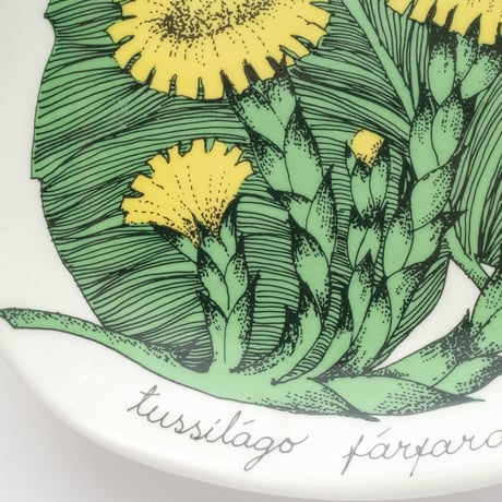 Botanica｜06｜フキタンポポ / Tussilago farfara