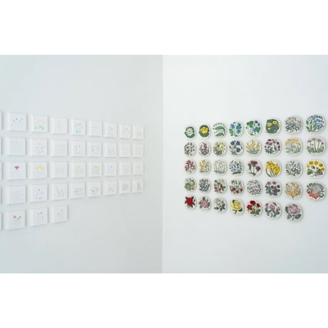 lumikka｜Correspondence-Botanica｜39