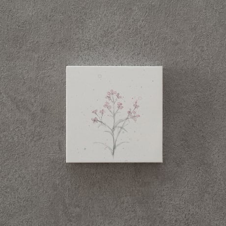 lumikka｜Correspondence-Botanica｜25