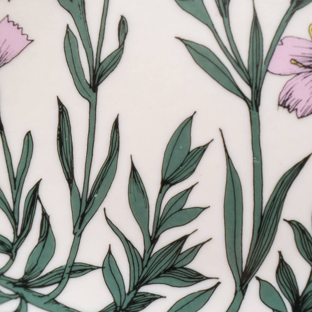 Botanica｜09｜ヒメナデシコ / Dianthus deltoides | lumik