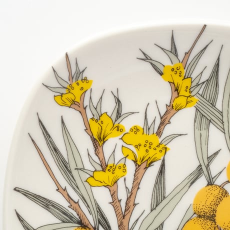 Botanica｜43｜シーバックソーン / Hippophae rhamnoides