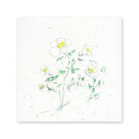 lumikka｜Correspondence-Botanica｜12