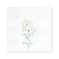 lumikka｜Correspondence-Botanica｜51