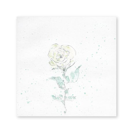 lumikka｜Correspondence-Botanica｜51