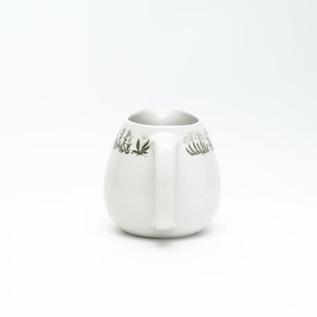 Arabia｜Polaris｜pitcher