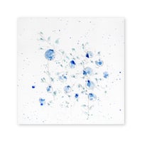 lumikka｜Correspondence-Botanica｜38