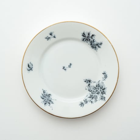 Arabia｜Astra｜plate φ17cm｜2