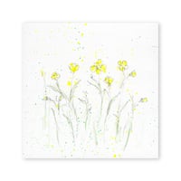 lumikka｜Correspondence-Botanica｜15