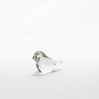 Nuutajarvi｜Jaakko Niemi｜bird｜3
