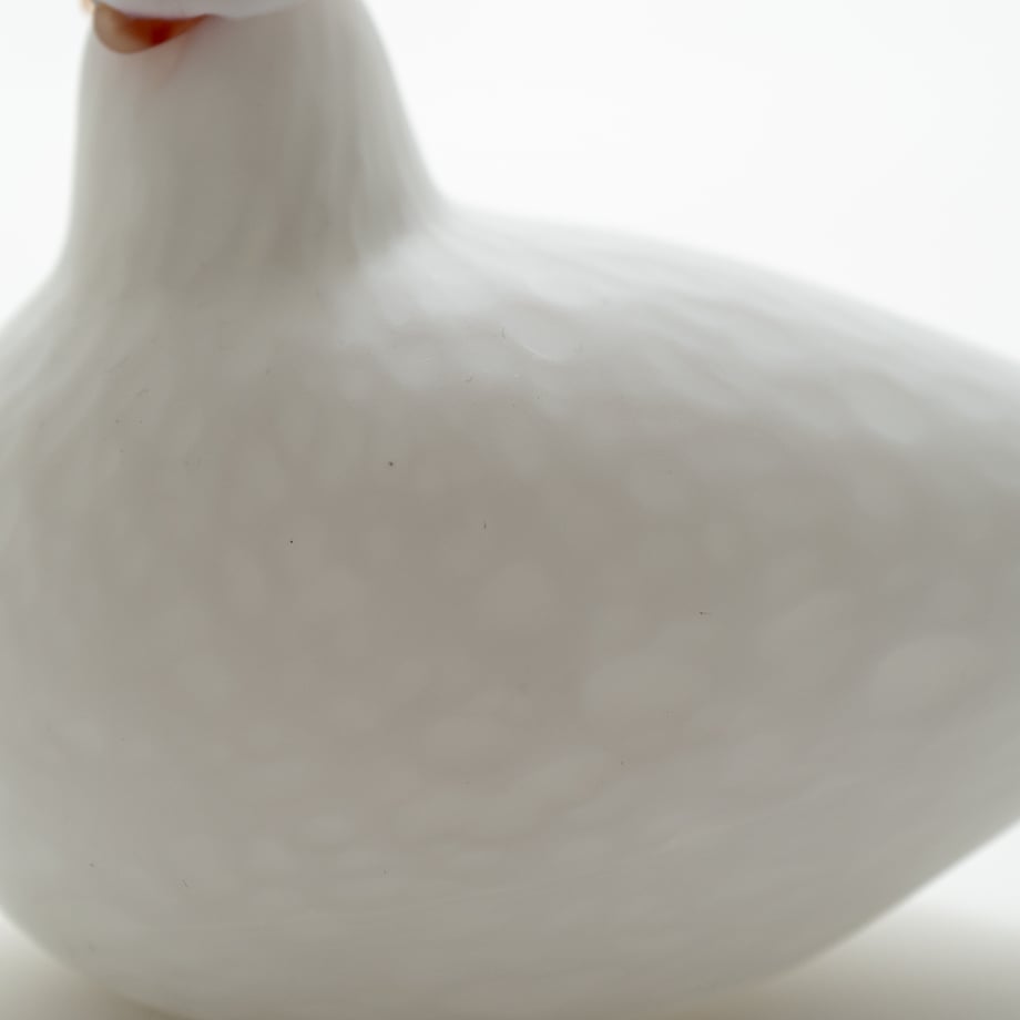 66a9e1707b0f7206f0e37f05
