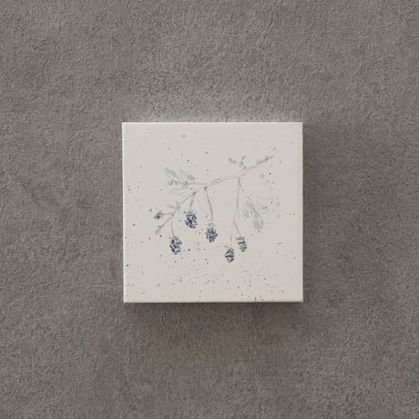 lumikka｜Correspondence-Botanica｜46