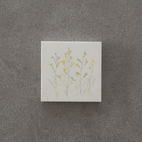 lumikka｜Correspondence-Botanica｜17
