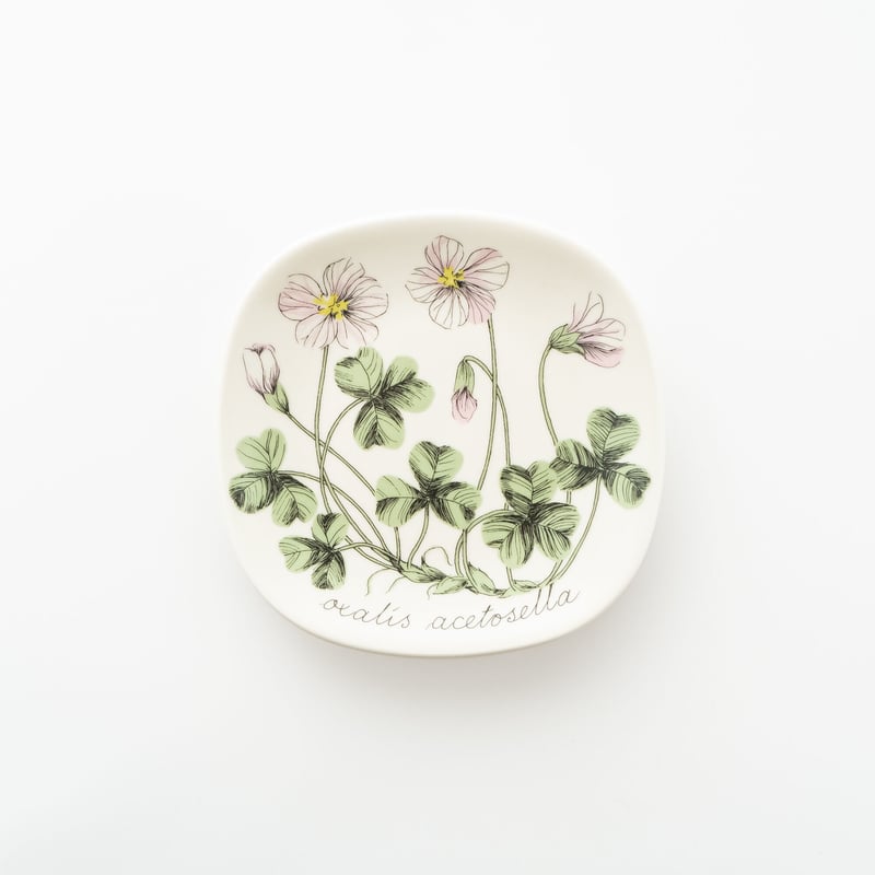 ARABIA ボタニカ　コミヤマカタバミ Botanica｜36｜コミヤマカタバミ / Oxalis acetosella | lumi