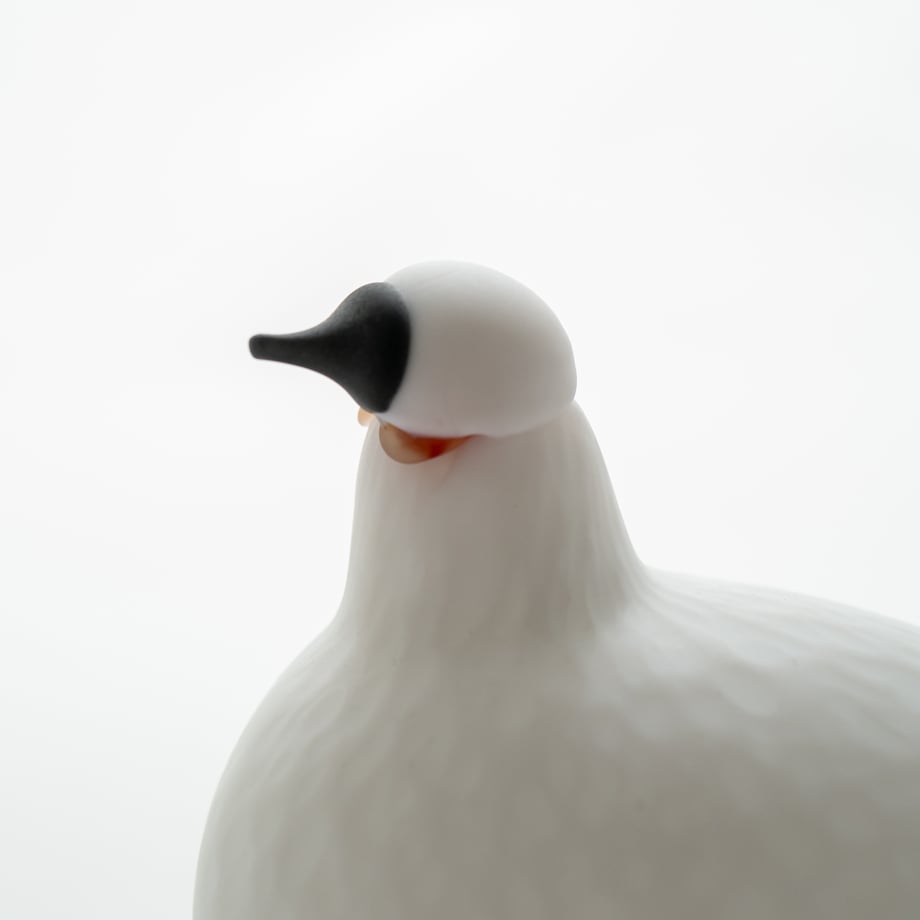 66a9e1707b0f7206f0e37f05