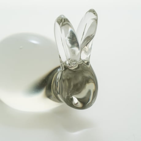 Nuutajarvi｜Jaakko Niemi｜rabbit