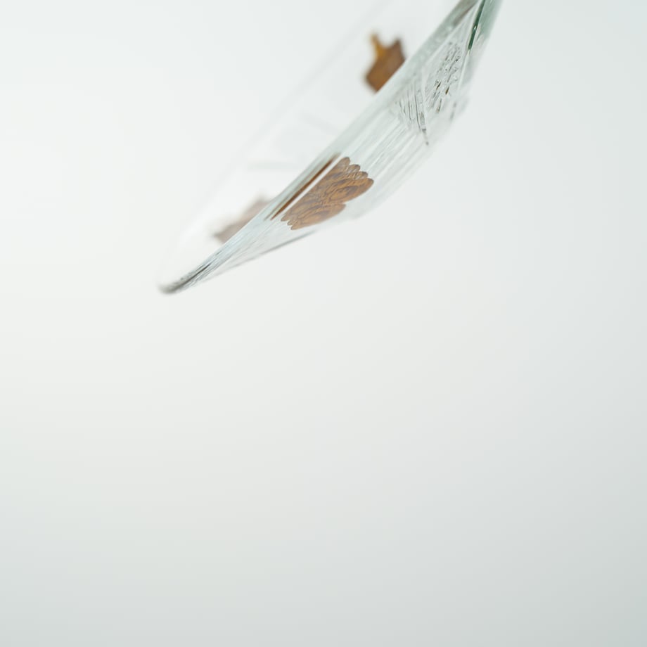 6877d06c3cea4ac4870313a6