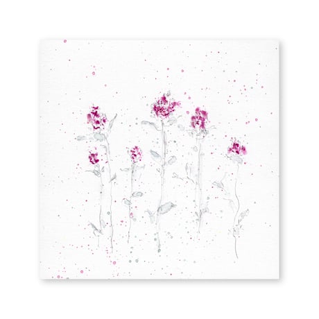 lumikka｜Correspondence-Botanica｜11