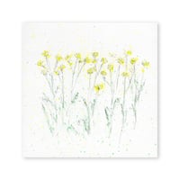lumikka｜Correspondence-Botanica｜19
