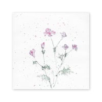 lumikka｜Correspondence-Botanica｜18