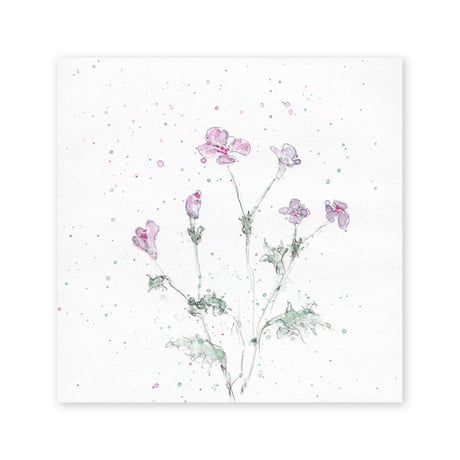 lumikka｜Correspondence-Botanica｜18