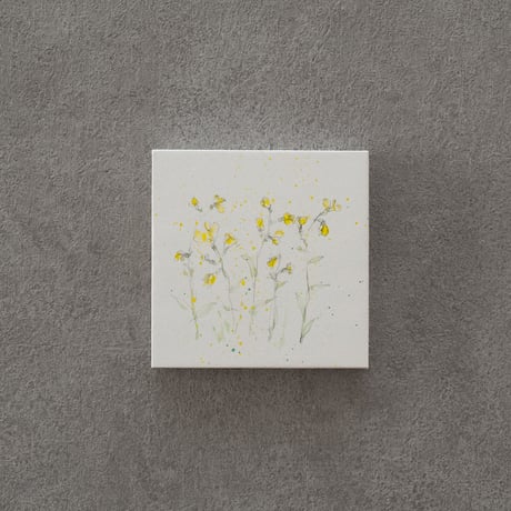 lumikka｜Correspondence-Botanica｜26
