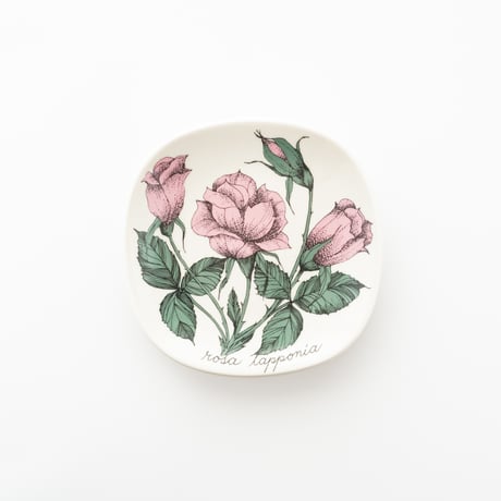 Botanica｜54｜ロサ・ラッポニア / Rosa Lapponia
