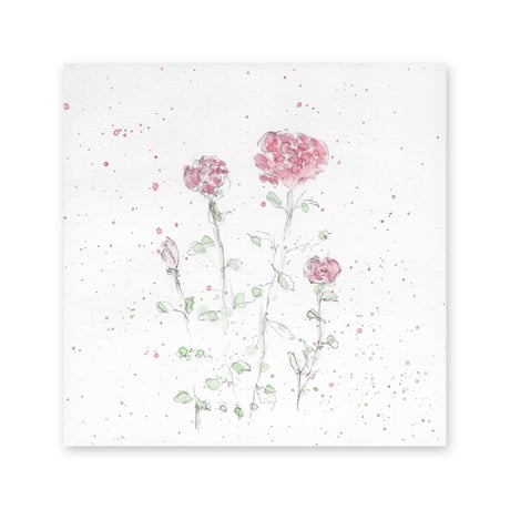 lumikka｜Correspondence-Botanica｜54