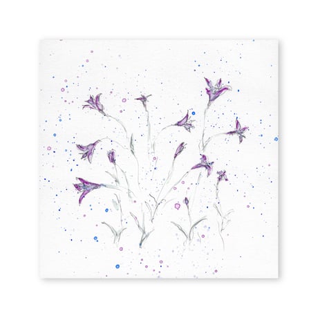 lumikka｜Correspondence-Botanica｜21