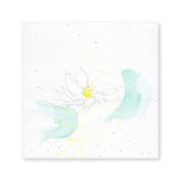lumikka｜Correspondence-Botanica｜01