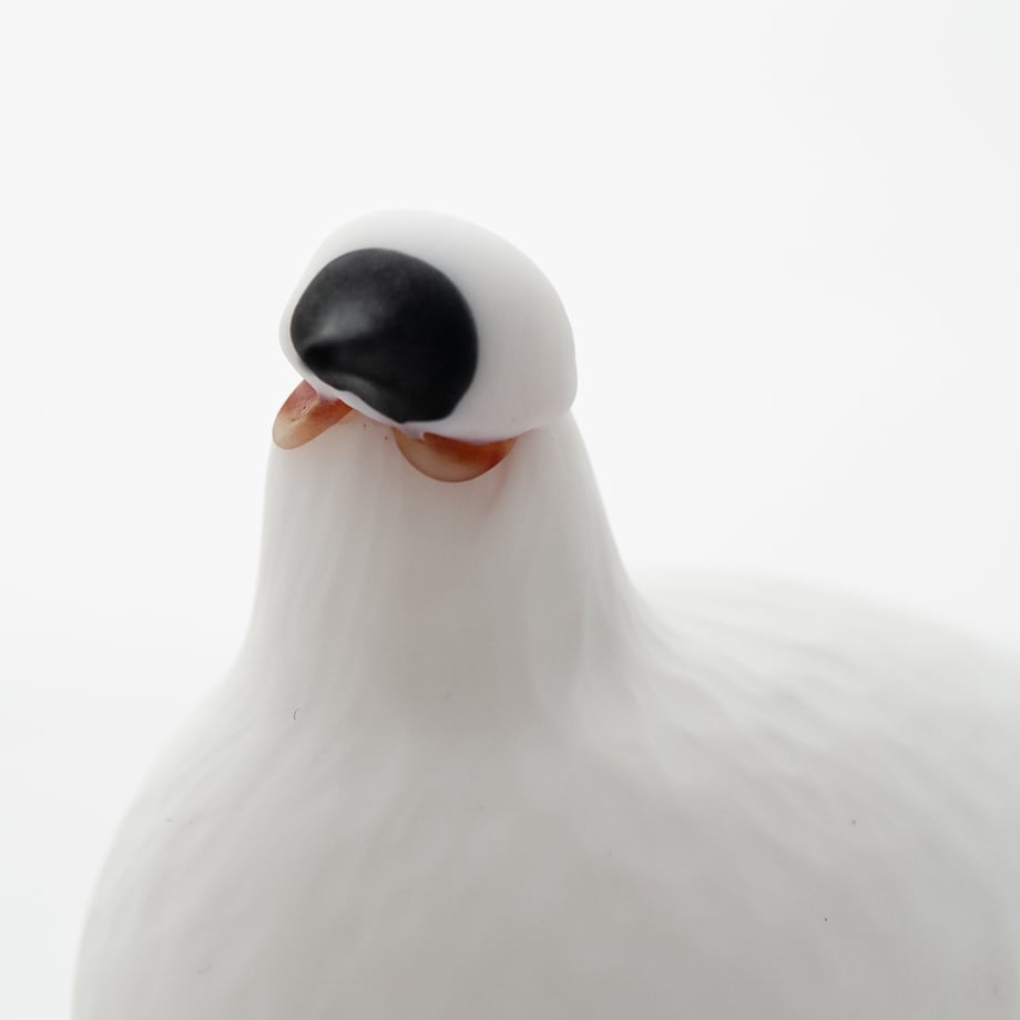 66a9e1707b0f7206f0e37f05