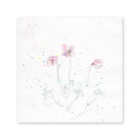lumikka｜Correspondence-Botanica｜36