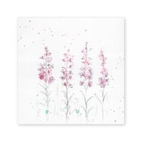lumikka｜Correspondence-Botanica｜14