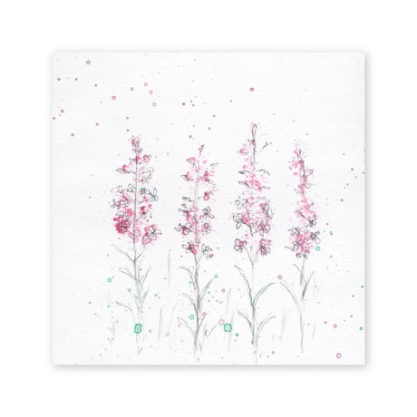 lumikka｜Correspondence-Botanica｜14