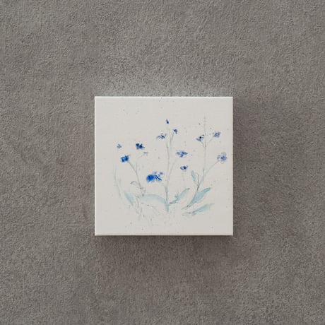 lumikka｜Correspondence-Botanica｜28