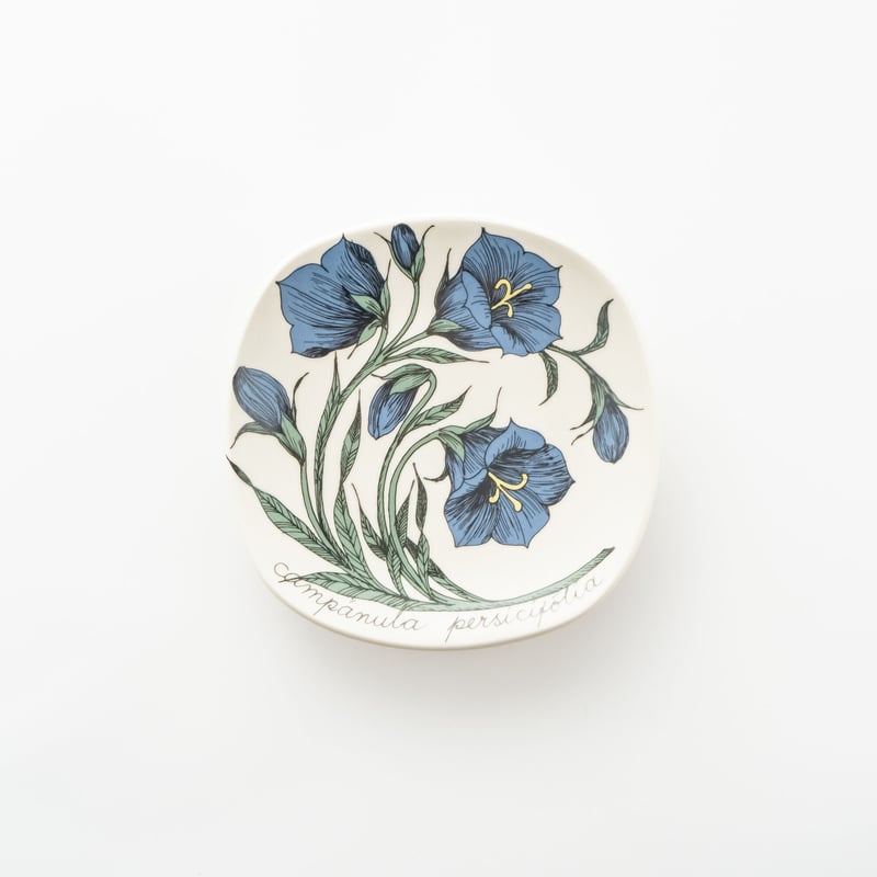 Botanica｜16｜モモノハギキョウ / Campanula persicifolia |