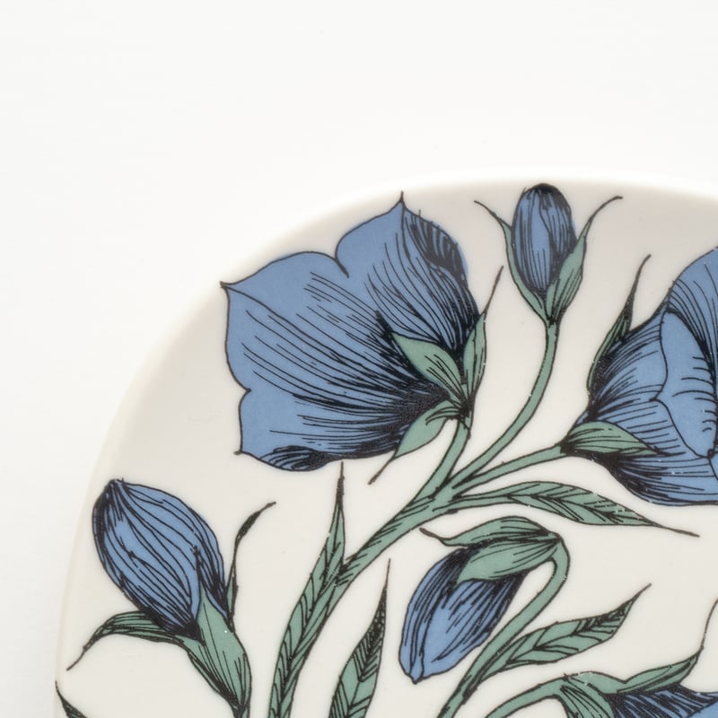 Botanica｜16｜モモノハギキョウ / Campanula persicifolia |