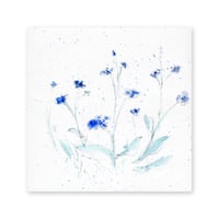 lumikka｜Correspondence-Botanica｜28