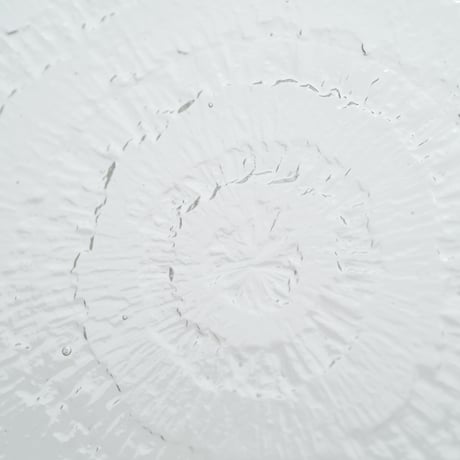Iittala｜Solaris｜plate φ16cm