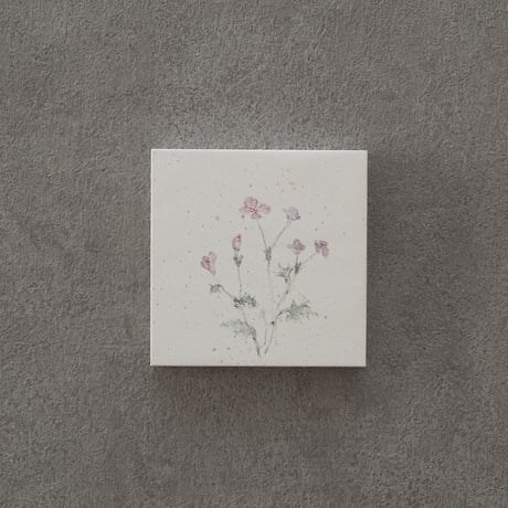 lumikka｜Correspondence-Botanica｜18