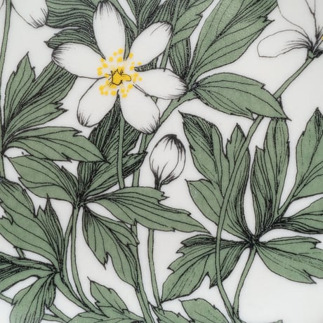 Botanica｜00｜ウッドアネモネ / Anemone nemorosa