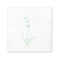 lumikka｜Correspondence-Botanica｜03