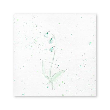 lumikka｜Correspondence-Botanica｜03